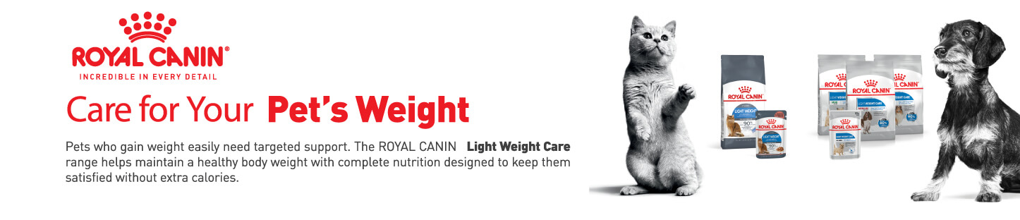 PetPrints-Footer-Banners-Jan--Feb-2026-Royal-Canin