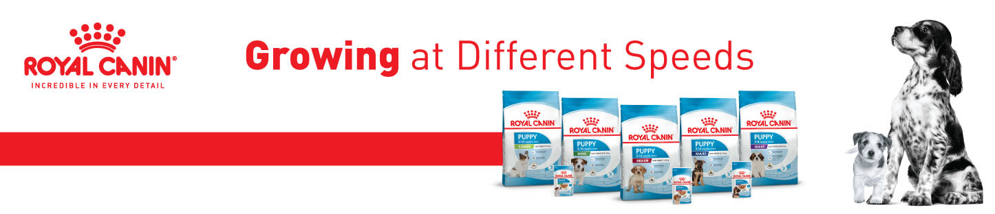 Royal-Canin