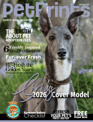 Pet Prints January 2026 Cover